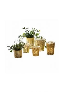 Schlussverkauf ⭐ LOBERON Windlicht 6er Set Nouvel Antikgold ✔️