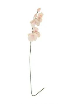 Brandneu 👏 LEONARDO Kunstblume Orchidee, 75 Cm Orange/ Grün ⌛