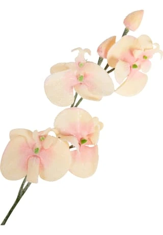 Brandneu 👏 LEONARDO Kunstblume Orchidee, 75 Cm Orange/ Grün ⌛ 2 Brandneu 👏 LEONARDO Kunstblume Orchidee, 75 Cm Orange/ Grün ⌛ – Bild 2