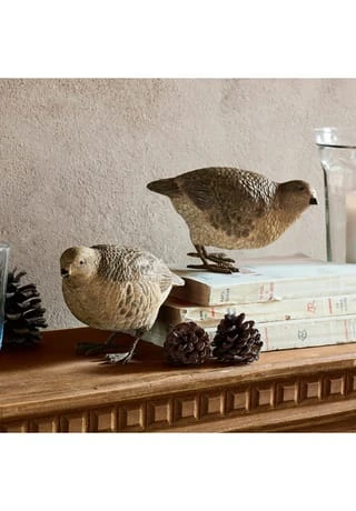 Bestpreis 🎁 LOBERON Deko-Wachtel 2er Set Punata Braun Braun 🎁 2 Bestpreis 🎁 LOBERON Deko-Wachtel 2er Set Punata Braun Braun 🎁 – Bild 2