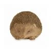 Bestes Angebot ✔️ LOBERON Deko-Igel Cotoca Braun Braun 🎁