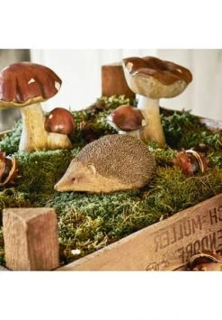 Bestes Angebot ✔️ LOBERON Deko-Igel Cotoca Braun Braun 🎁 -dekoartikel Verkaufsladen unnamed file 264