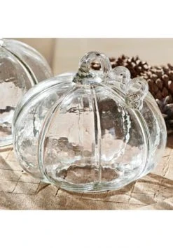 Beste Bewertungen von ⭐ LOBERON Kürbis 2er Set Ranis Klar Klar ✔️ -dekoartikel Verkaufsladen unnamed file 287