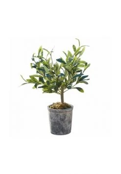 Top 10 ✨ LOBERON Deko-Topfpflanze Mariuccia Grün Grün ✨