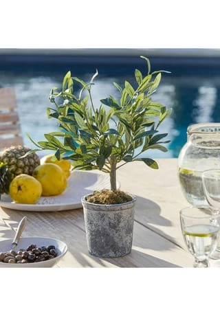 Top 10 ✨ LOBERON Deko-Topfpflanze Mariuccia Grün Grün ✨ 2 Top 10 ✨ LOBERON Deko-Topfpflanze Mariuccia Grün Grün ✨ – Bild 2