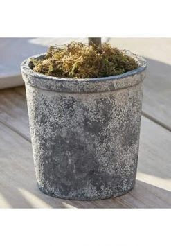 Top 10 ✨ LOBERON Deko-Topfpflanze Mariuccia Grün Grün ✨ 5 Top 10 ✨ LOBERON Deko-Topfpflanze Mariuccia Grün Grün ✨ -dekoartikel Verkaufsladen unnamed file 368