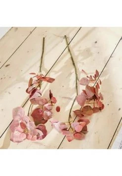 Am billigsten ⌛ LOBERON Deko-Zweig Pinon Rosa Rosa 👏 6 Am billigsten ⌛ LOBERON Deko-Zweig Pinon Rosa Rosa 👏 -dekoartikel Verkaufsladen unnamed file 388