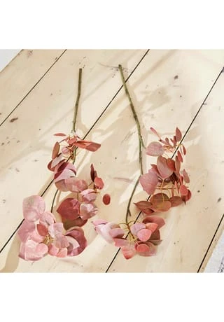 Am billigsten ⌛ LOBERON Deko-Zweig Pinon Rosa Rosa 👏 3 Am billigsten ⌛ LOBERON Deko-Zweig Pinon Rosa Rosa 👏 – Bild 3