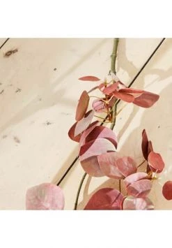 Am billigsten ⌛ LOBERON Deko-Zweig Pinon Rosa Rosa 👏 7 Am billigsten ⌛ LOBERON Deko-Zweig Pinon Rosa Rosa 👏 -dekoartikel Verkaufsladen unnamed file 389