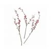Angebote 😍 LOBERON Deko-Zweig Dillon Braun/rot Braun/rot ✔️