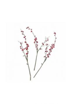 Angebote 😍 LOBERON Deko-Zweig Dillon Braun/rot Braun/rot ✔️