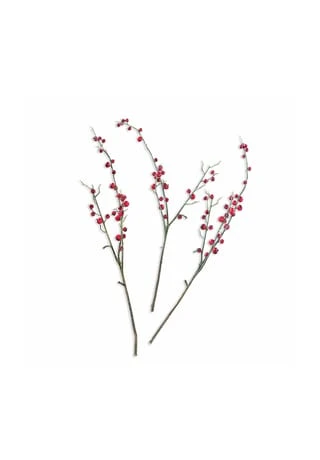 Angebote 😍 LOBERON Deko-Zweig Dillon Braun/rot Braun/rot ✔️ 1 Angebote 😍 LOBERON Deko-Zweig Dillon Braun/rot Braun/rot ✔️