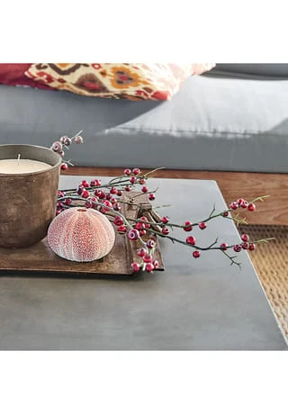 Angebote 😍 LOBERON Deko-Zweig Dillon Braun/rot Braun/rot ✔️ 3 Angebote 😍 LOBERON Deko-Zweig Dillon Braun/rot Braun/rot ✔️ – Bild 3