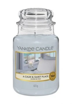 Bestpreis ⌛ YANKEE CANDLE® Duftkerze, 623 G Hellblau ✨