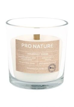 Bestpreis 🔔 MÜLLER LICHT Kerze "Pro Nature", 750g Weiß ⌛