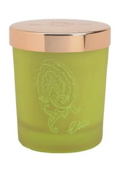 Schlussverkauf 🎉 ETRO Dafne HELLGRÜN 🤩