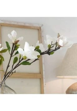 Am billigsten 👍 LOBERON Dekoblume 2er Set Mariella Creme Creme ✨ -dekoartikel Verkaufsladen unnamed file 81