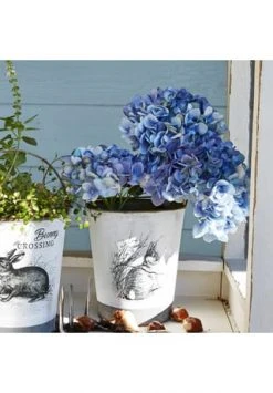 Billig ✔️ LOBERON Dekoblume 3er Set Amarente Blau/grün Blau/grün ⌛ -dekoartikel Verkaufsladen unnamed file 84